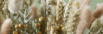 How Dried Flowers Compare to Faux Flowers in Sustainability