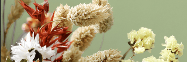 How to Style a Dried Flower Wreath for Any Occasion