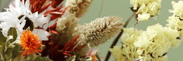 What Are the Most Popular Dried Flowers Right Now?