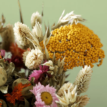 Bouquet of dried flowers with a soft green background
