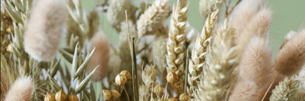 Minimalist Interior Design with Dried Florals