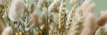 Minimalist Interior Design with Dried Florals