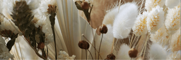 Introducing Our New Dried Flower Reed Diffusers