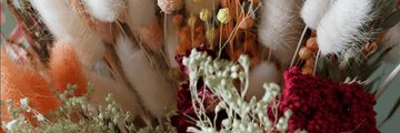 Top Dried Floral Picks for August - Our Favourites