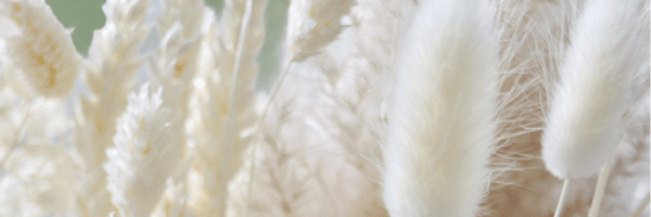 Top Floral Picks for December