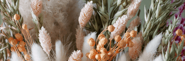 Why Dried Flowers Make the Perfect Sustainable Gift