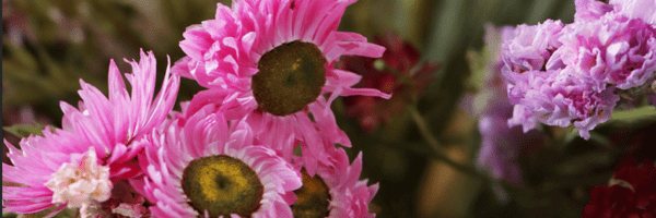 Why Letterbox Flowers Are the Future of Flower Delivery