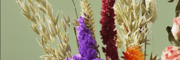 How to Decorate Your Home with Dried Flowers in Every Season