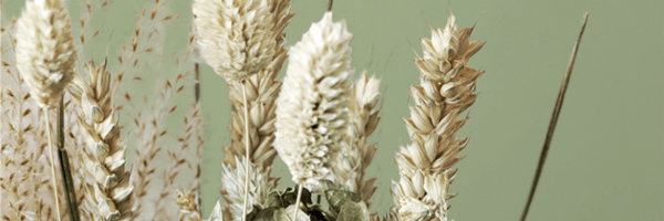 Wedding Decor with Dried Flowers: Ideas & Trends