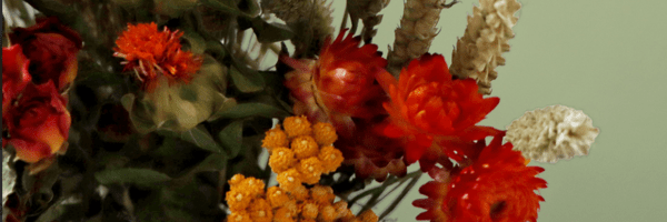 Why Dried Flower Wreaths Are the Ultimate Sustainable Home Décor