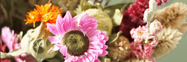 The Best Dried Flower Wreaths for Every Season