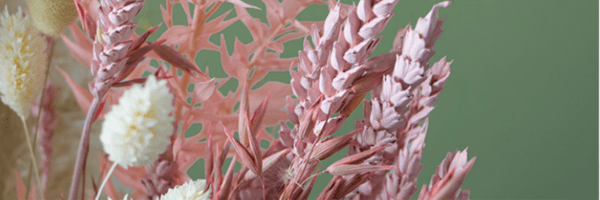 Last-Minute Valentine's Gifts That Don't Look Last-Minute: The Dried Blooms Guide