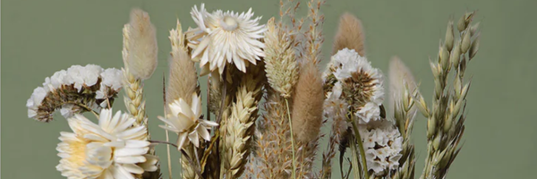 Top Sustainable Flower Options: Dried Flowers, Letterbox Flowers & More
