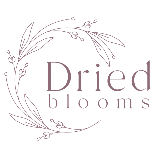 Dried Blooms logo with decorative floral wreath design on a transparent background