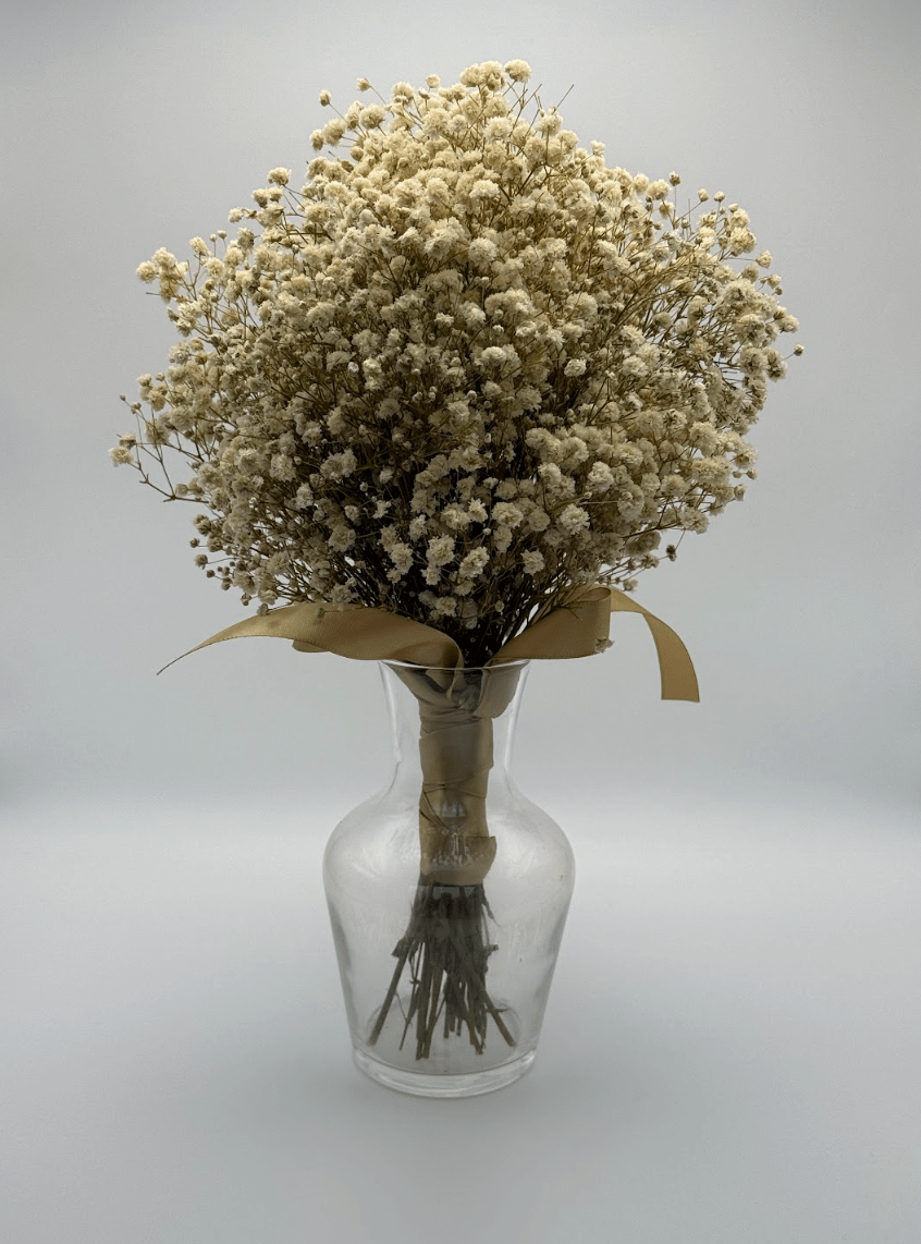 Clear glass vase with dried white flowers and a brown ribbon on a light gray background