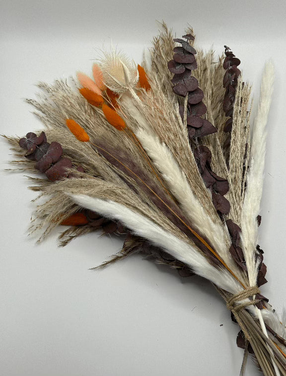 Bouquet of dried grasses and pinecones on a white background