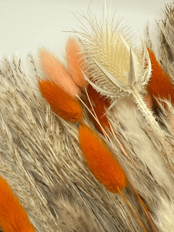 Close-up of dried orange and beige grasses on a light background