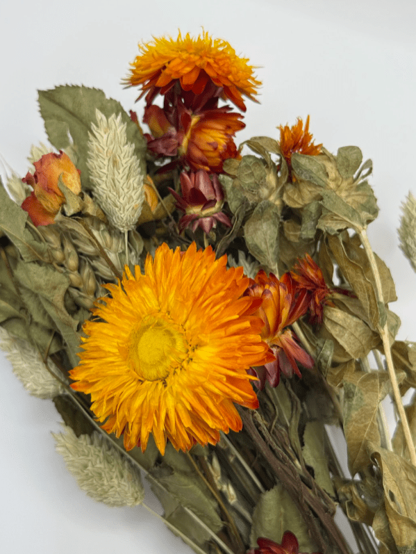 Bouquet of dried flowers with orange and yellow flowers on a white background