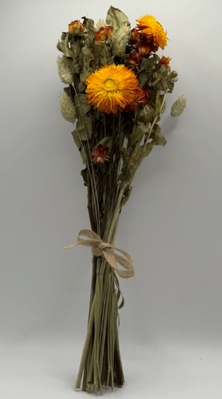Bouquet of dried flowers with orange centers tied with brown string on a gray background