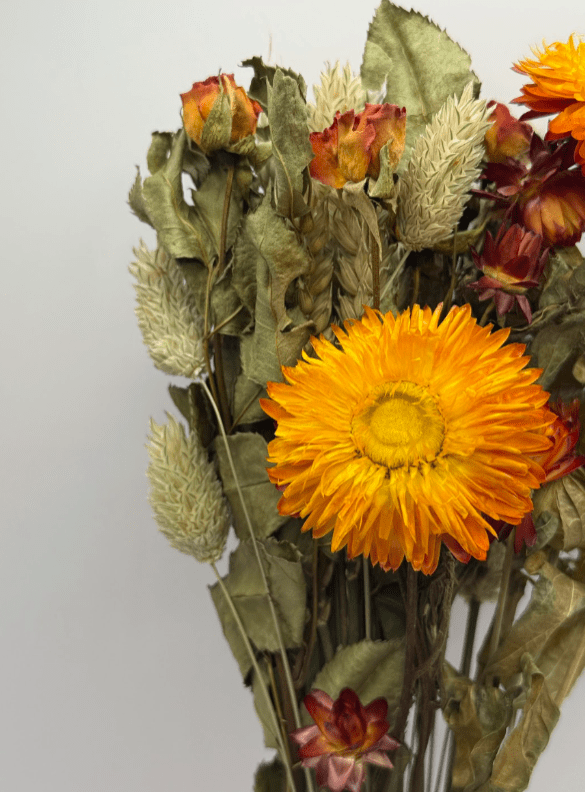 Bouquet of dried flowers with orange and yellow colors on a light gray background