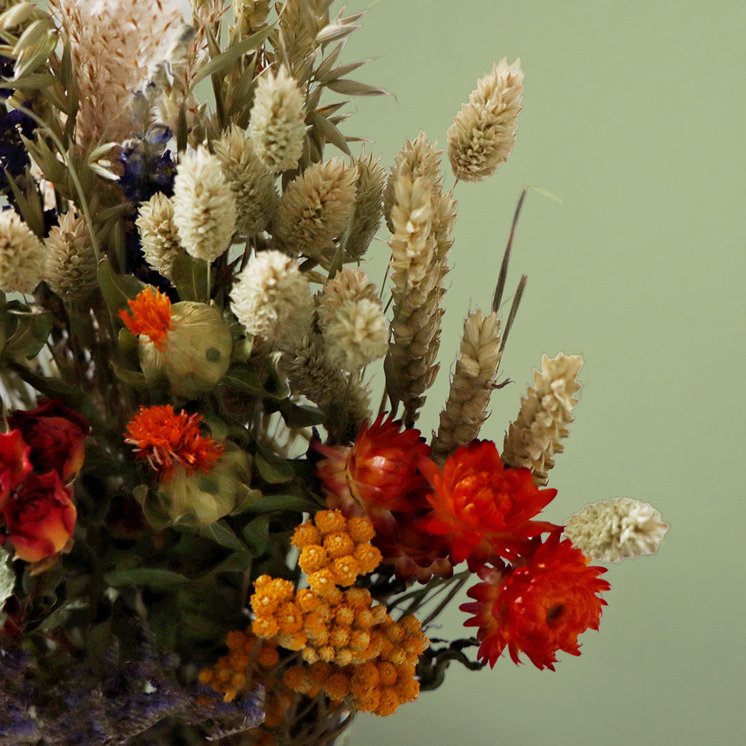 Bouquet of dried flowers with red, orange, and beige colors on a green background