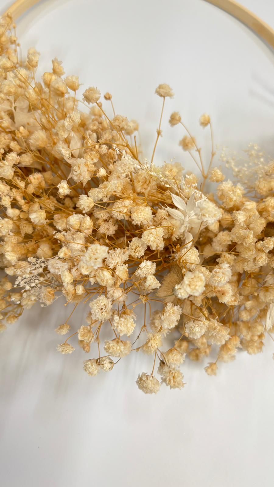 Close-up of dried golden flowers on a light background