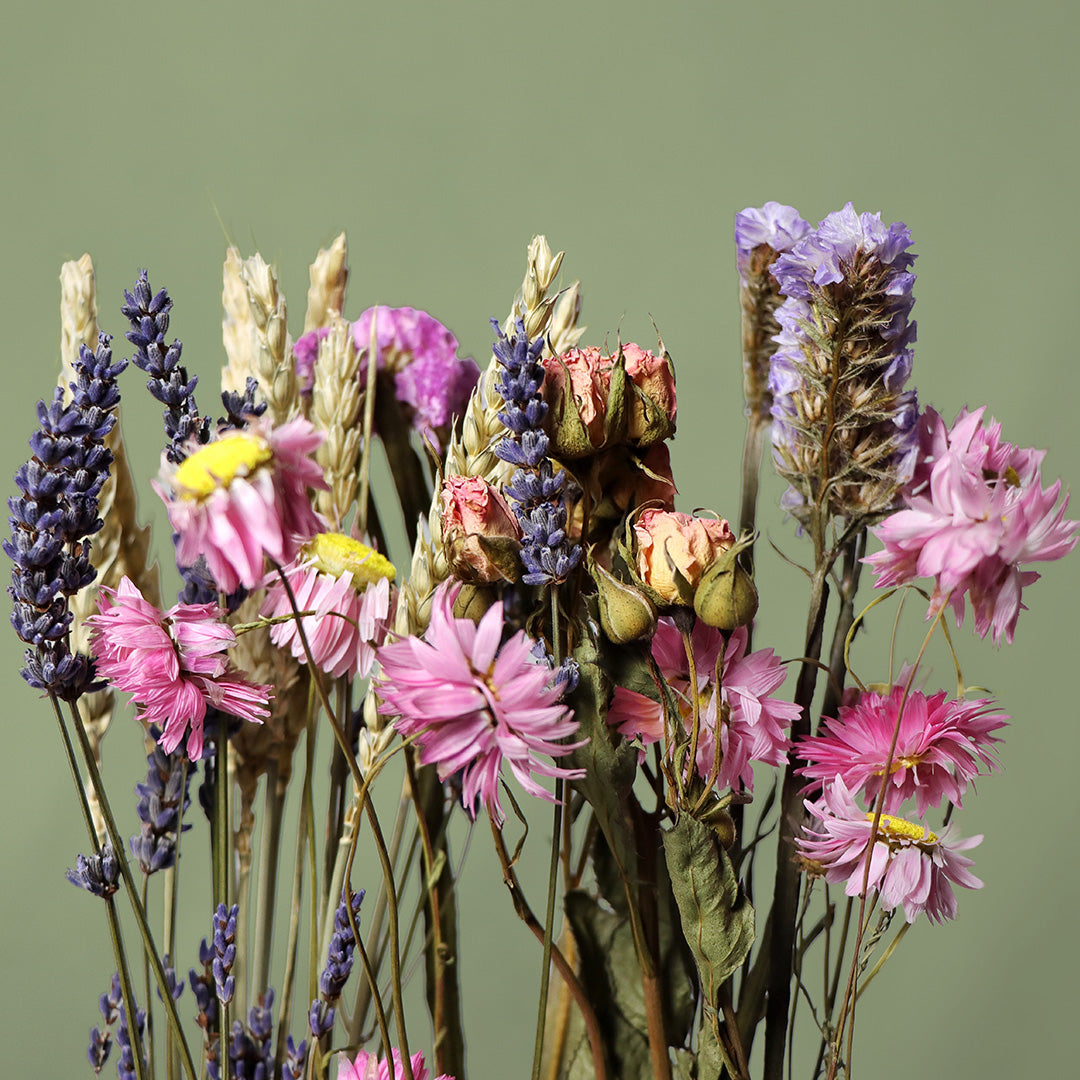 Bouquet of dried flowers with pink and purple hues on a green background