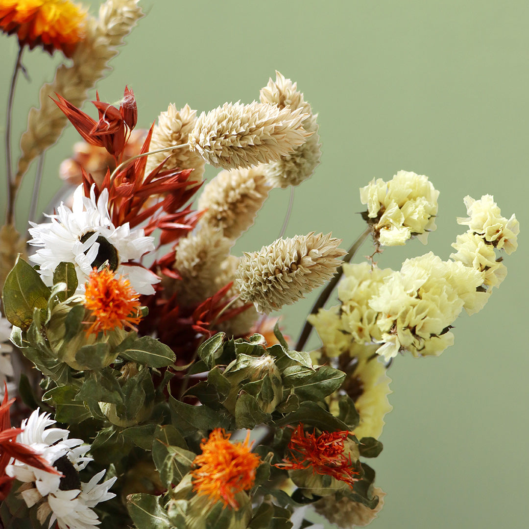 Bouquet of dried flowers with red, orange, beige, and green colors on a light green background.