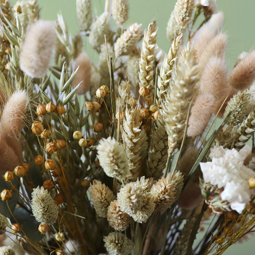 Bouquet of dried flowers and herbs with a soft focus background