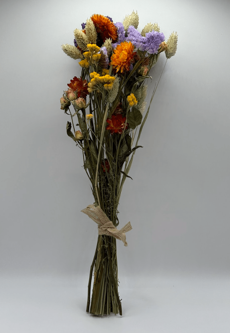 Bouquet of dried flowers tied with twine on a white background