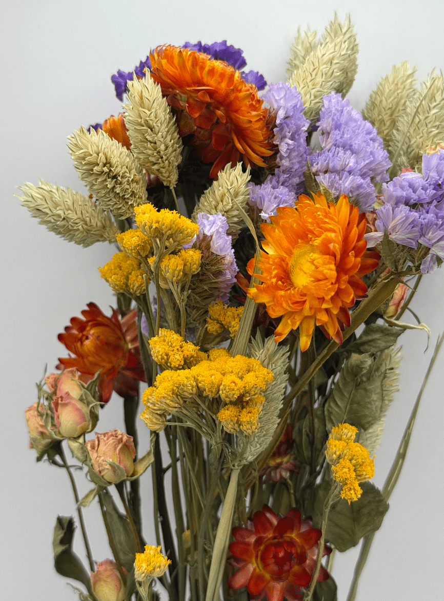 Bouquet of dried flowers in orange, yellow, purple, and beige on a light gray background