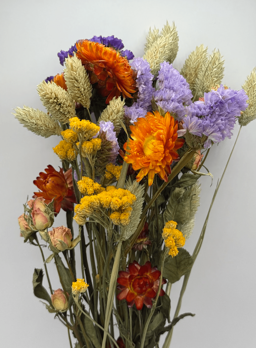 Bouquet of dried flowers with orange, purple, and yellow colors on a light gray background