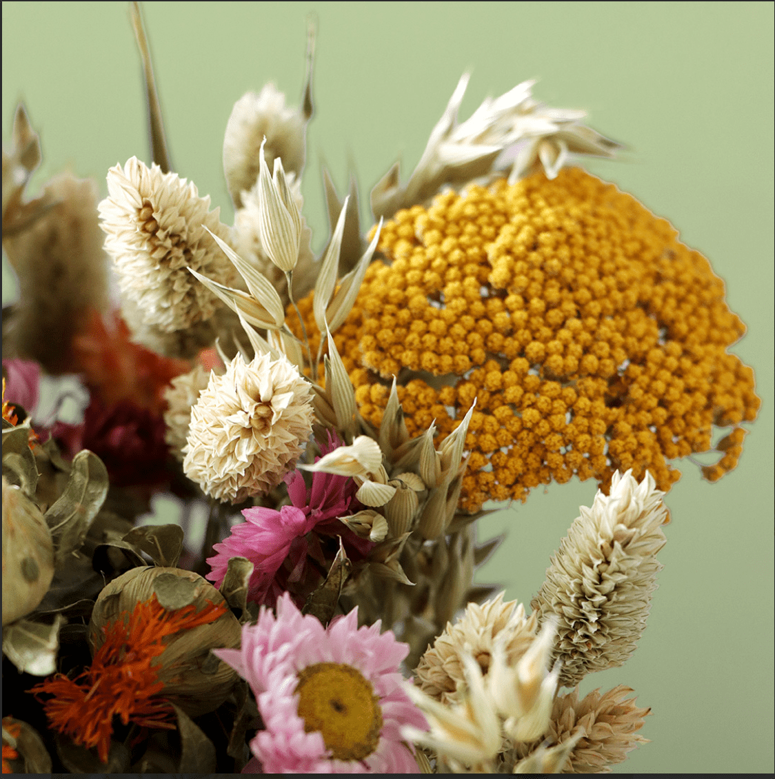 Bouquet of dried flowers with a green background