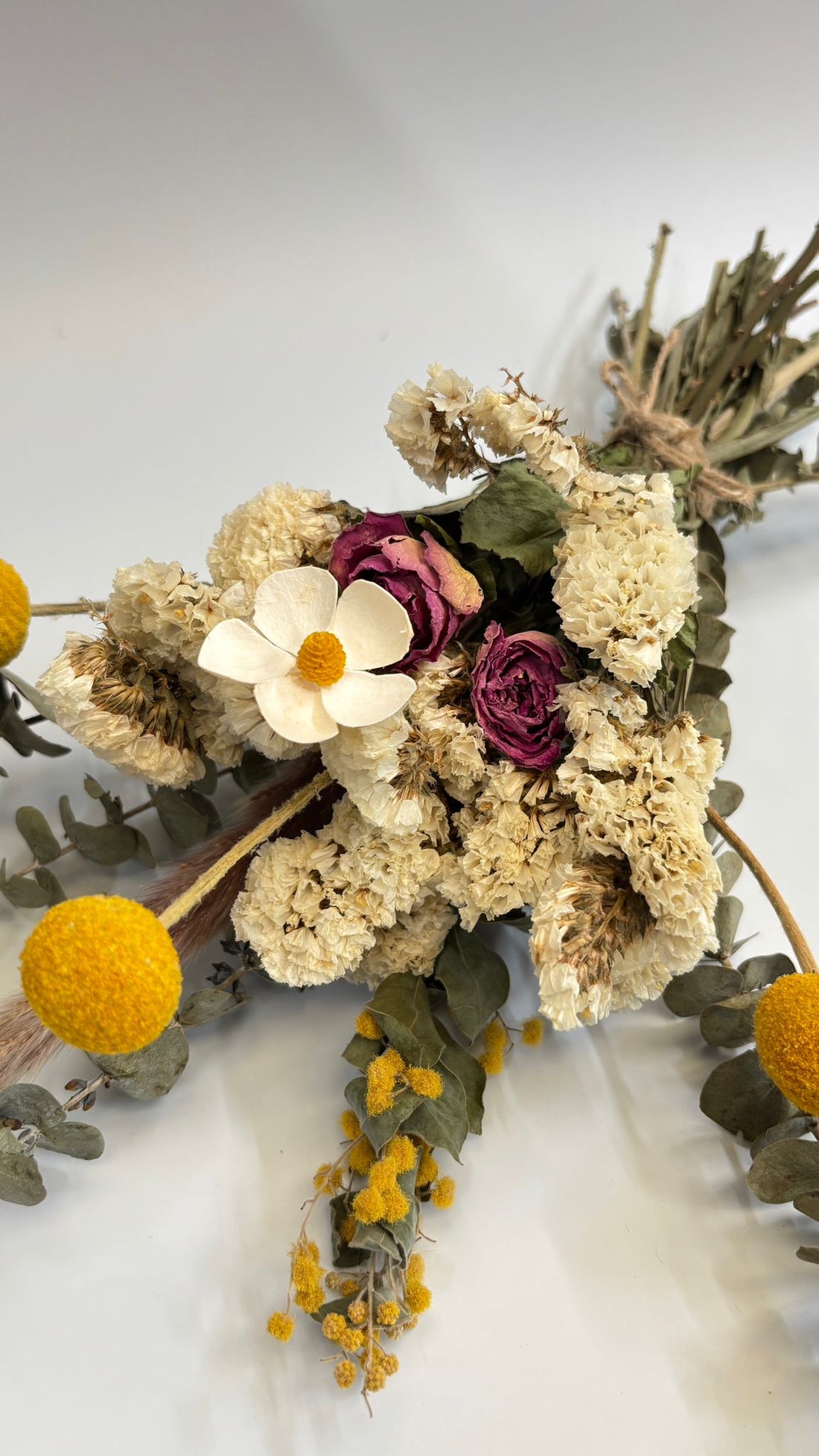 Dried flowers and herbs on a white background