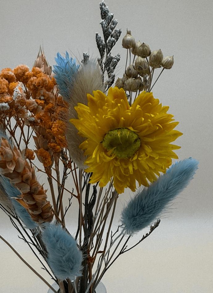 Bouquet of dried flowers with yellow center and blue accents on a light background