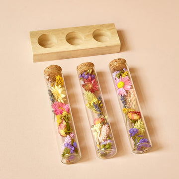 Three test tubes filled with dried wildflowers and a wooden holder on a beige background