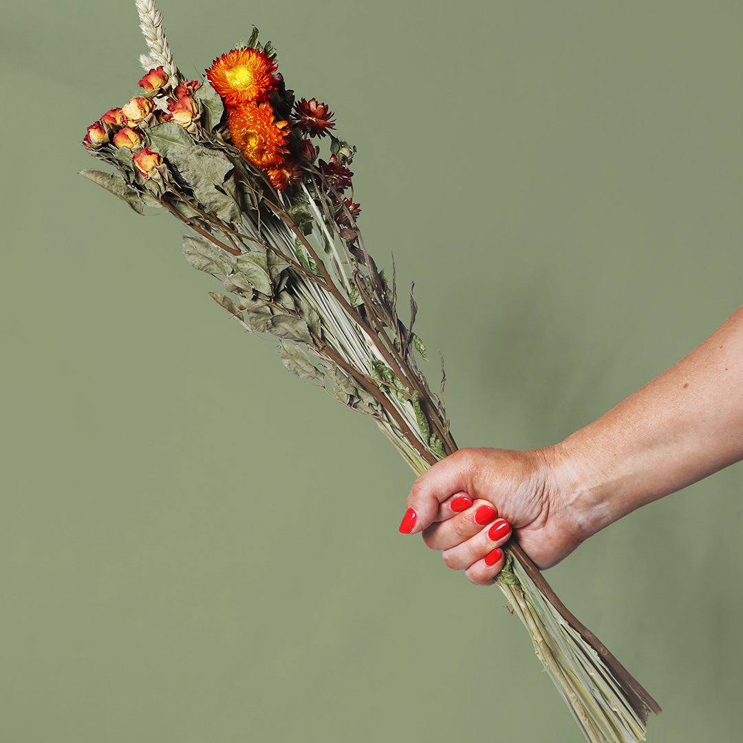 Hand holding a bouquet of dried flowers against a plain background