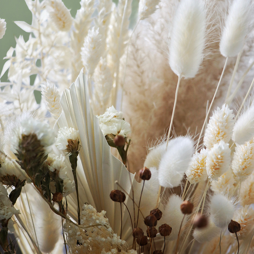 White fluffy dried blooms bouquet close-up