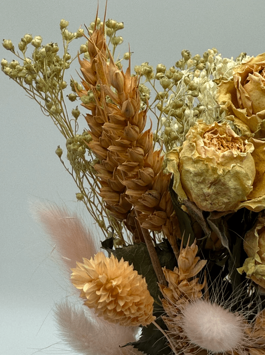 Dried flowers and plants with a light background