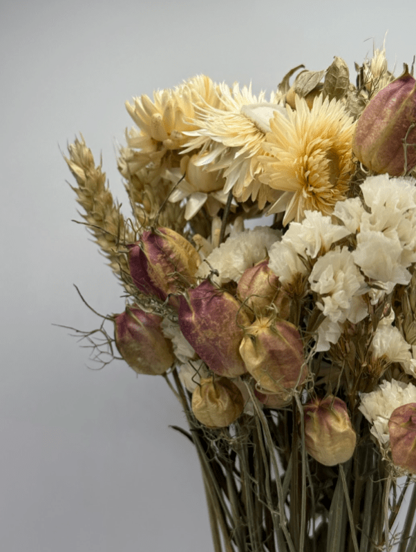 Bouquet of dried flowers with beige, brown, and white colors on a gray background