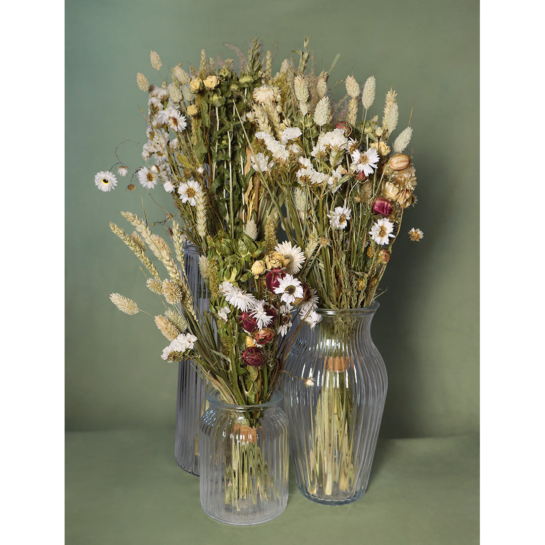 Three glass vases filled with dried flowers on a green background