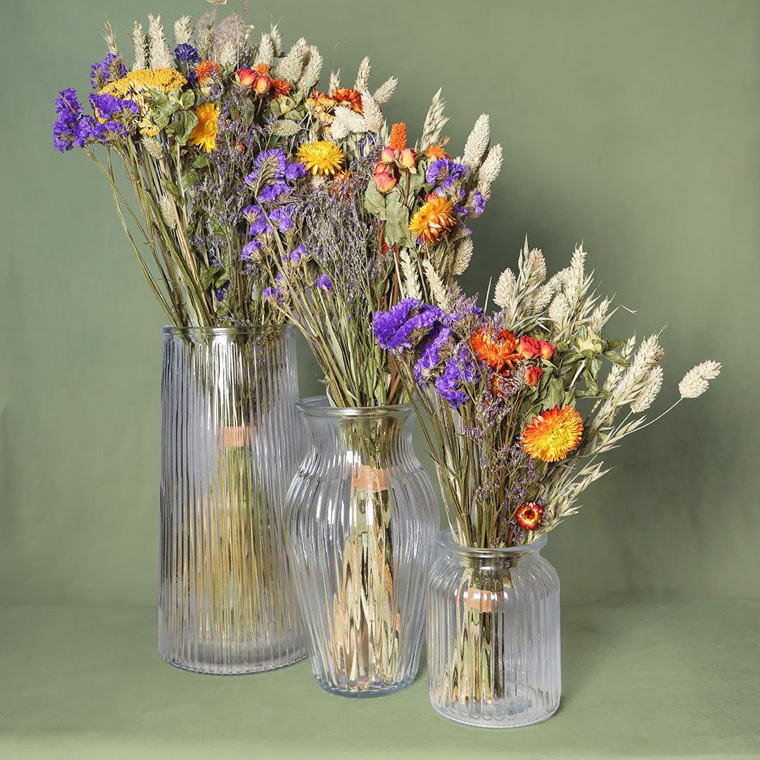 Three glass vases with dried flowers on a green background