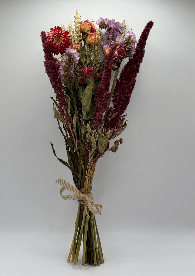 Bouquet of dried flowers tied with twine on a white background