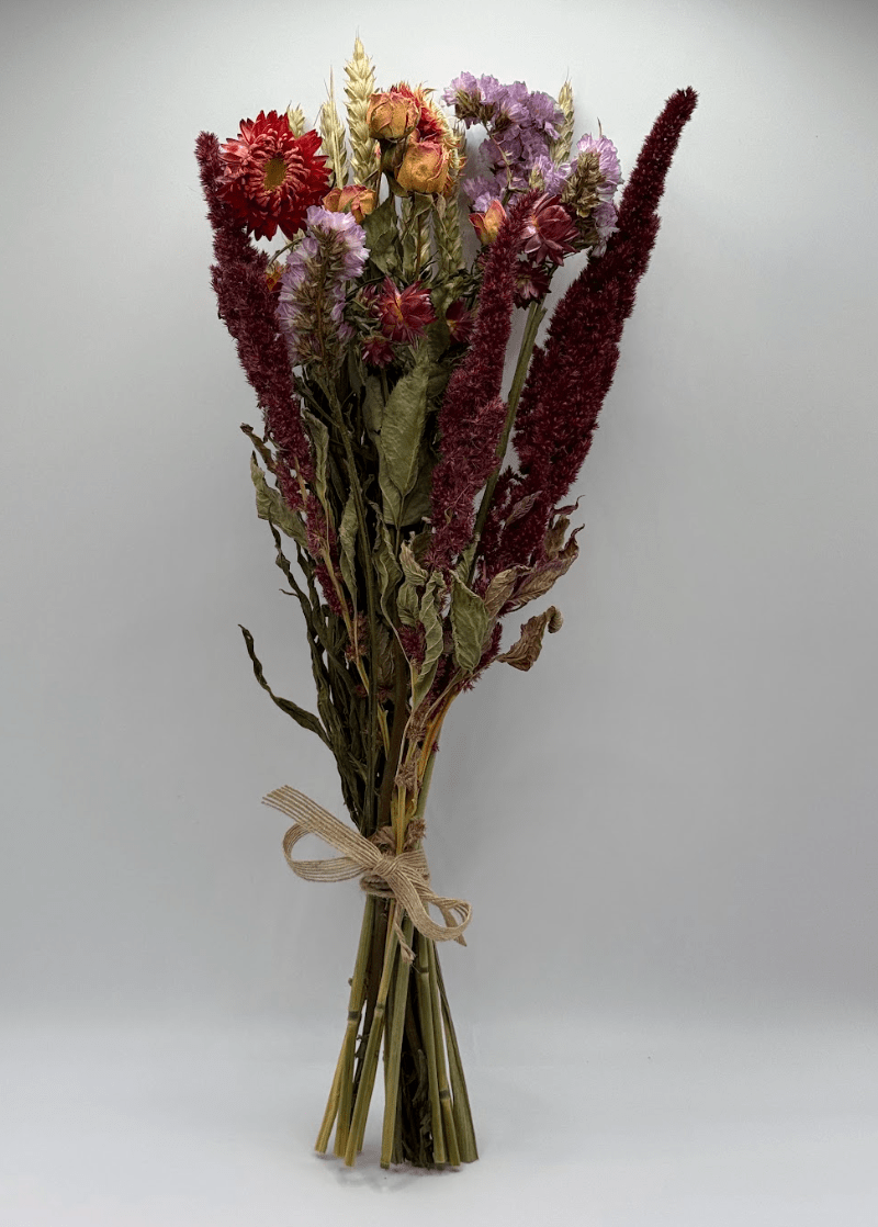 Bouquet of dried flowers tied with twine on a white background