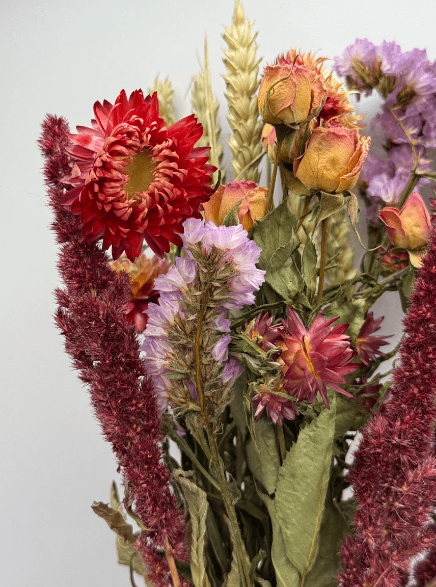 Bouquet of dried flowers with red, purple, and orange hues on a light gray background
