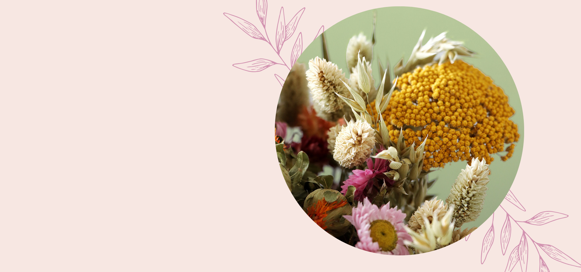 Homepage Hero Slide 1